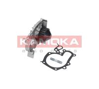 Pompa acqua T0241 KAMOKA per RENAULT ROVER LAND ROVER BMW MERCEDES-BENZ