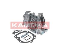KAMOKA Pompa Acqua T0242 RENAULT,CLIO II (BB0/1/2_, CB0/1/2_),TWINGO I (C06_),KANGOO (KC0/1_),CLIO I (B/C57_, 5/357_),KANGOO Express (FC0/1_)