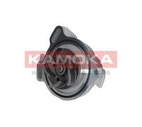 Pompa acqua T0275 KAMOKA per VW VOLVO PORSCHE