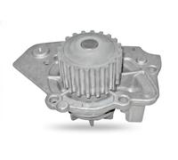 DOLZ T136 Pompa acqua