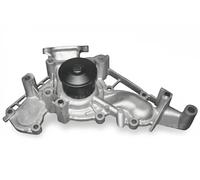 DOLZ T250 Pompa acqua