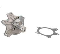 Pompa acqua THERMOTEC D12084TT TOYOTA IST (NCP6_) 1.3 2004-2007