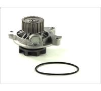 Pompa acqua THERMOTEC D1A027TT VW SANTANA (32B) 2.1 1982-1983