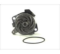 Pompa acqua THERMOTEC D1D019TT per FIAT COUPE (175_) 1.8 1996-2000