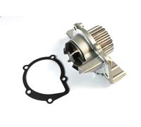 Pompa acqua THERMOTEC D1F061TT per FIAT 126 (126_) 0.7 1987-1996
