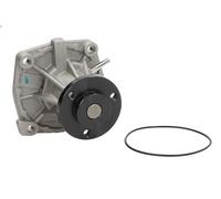 Pompa acqua THERMOTEC D1G042TT per ROVER 800 (XS) 2.5 1990-1999