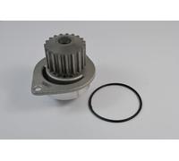 Pompa acqua THERMOTEC D1P010TT per CITROEN C2 (JM_) 1.6 2004-2009