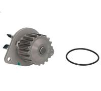 Pompa acqua THERMOTEC D1P043TT per CITROEN C2 (JM_) 1.4 2005-2009