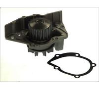 Pompa acqua THERMOTEC D1P045TT per CITROEN ZX (N2) 2 1992-1997