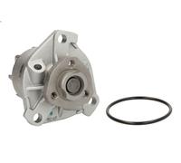 Pompa dell'acqua THERMOTEC D1W023TT