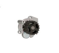 Pompa acqua THERMOTEC D1W037TT per VW POLO (86) 0.8 1975-1981