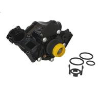 Pompa acqua THERMOTEC D1W065TT per AUDI A3 (8P1) 2 2004-2012