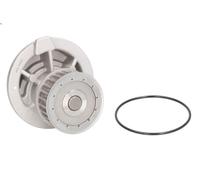 Pompa acqua THERMOTEC D1X023TT per CHEVROLET EVANDA 2 2005-2006