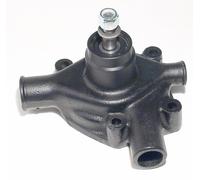 Pompa Acqua Trattore Ama Massey Ferguson