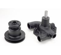Pompa Acqua Trattore Ama Massey Ferguson 3641823M91