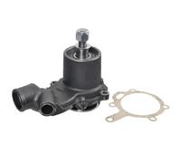 Pompa Acqua Trattore Landini,Massey Ferguson 9060,3060-Rif.3637468M91-Adattabile