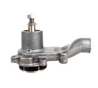 POMPA ACQUA TRATTORE LANDINI MASSEY FERGUSON CASE PERKINS 6500 6830 CINGOLATO