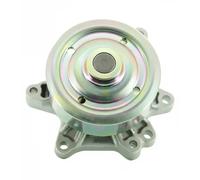 SKF Pompa acqua