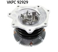 SKF VKPC 92929 Pompa acqua