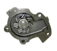 Starline Pompa acqua VP D104