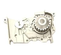 Pompa acqua VP RE120 STARLINE