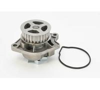 CONTINENTAL CTAM Pompa dell’acqua, raffreddamento motore WP6004