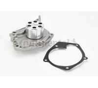 Pompa acqua WP6024 CONTINENTAL CTAM per NISSAN RENAULT SUZUKI