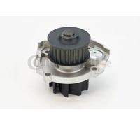 CONTITECH WP6042 Pompa acqua