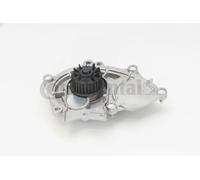 ContiTech Pompa del refrigerante WP6122 per Audi VW Seat Skoda Cupra Porsche