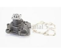 Pompa acqua WPS3209 CONTINENTAL CTAM per FORD TRANSIT Autobus TRANSIT Furgone