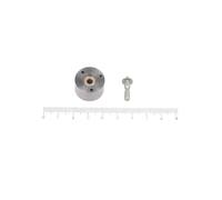 Pompa ad alta pressione DEL7207-0119 DELPHI
