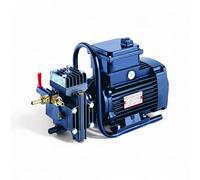 Pompa ad alta pressione elettrica 750W per irrorazione Dl218