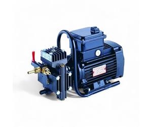 Pompa ad alta pressione elettrica 750W per irrorazione Dl218