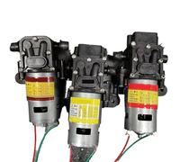 Pompa ad alta pressione for spruzzatore elettrico agricolo Pompa a motore a zaino a ricircolo ad alta pressione ad alta potenza da 12 V(2900)