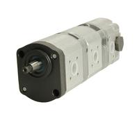 Pompa ad ingranaggi idraulica BOSCH 0 510 665 424