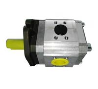 Pompa ad ingranaggi idraulici EIPC5-080RA23-10 ECKERLE e pompa di ricambio