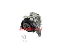 Pompa Ad Olio Per BMW Serie 1 E81 E82 E87 E88 F20 2 F22, F87 3 E90 5 E61 F10