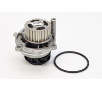 Pompa aqua CONTITECH WP6010 per AUDI A3 (8P1) 2 2003-2008