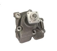 Pompa aqua HEPU P202 per LDV CONVOY Furgone 2.5 1998-2009