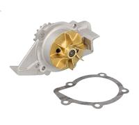 Pompa aqua HEPU P895