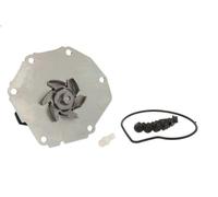 Pompa aqua HEPU P984 per VOLVO S80 II (124) 3 2007-201