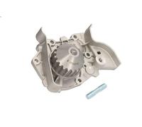 Pompa del refrigerante INA 538 0022 10