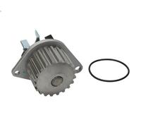 Pompa aqua SIL PA511P per CITROEN AX (ZA-_) 1 1986-1998