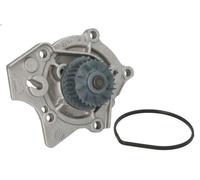 Pompa aqua SKF VKPC 81242 per AUDI A3 (8P1) 2 2004-2012