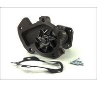Pompa aqua THERMOTEC D16010TT per DAIHATSU TERIOS (J1_) 1.3 1997-1999
