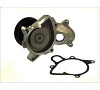 Pompa aqua THERMOTEC D1B031TT per BMW 3 (E46) 2 1998-2001