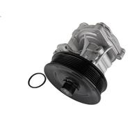 Pompa aqua THERMOTEC D1G056TT per FORD TRANSIT Furgone (FA_ _) 2.4 2000-2006