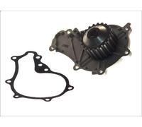Pompa aqua THERMOTEC D1P037TT per MAZDA 2 (DY) 1.4 2003-2007