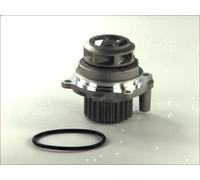 Pompa aqua THERMOTEC D1W028TT per AUDI A3 (8L1) 1.6 1996-2003
