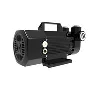 Pompa benzina 12V/24V con antideflagrante Micro pompa carburante Pompa diesel elettrica autoadescante 600W 60l/min(12V black)